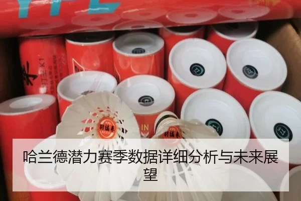 哈兰德潜力赛季数据详细分析与未来展望